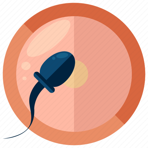 Egg, ovum, pregnancy, reproduction, sperm icon - Download on Iconfinder