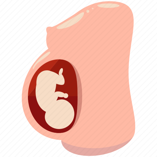fetus in womb cartoon