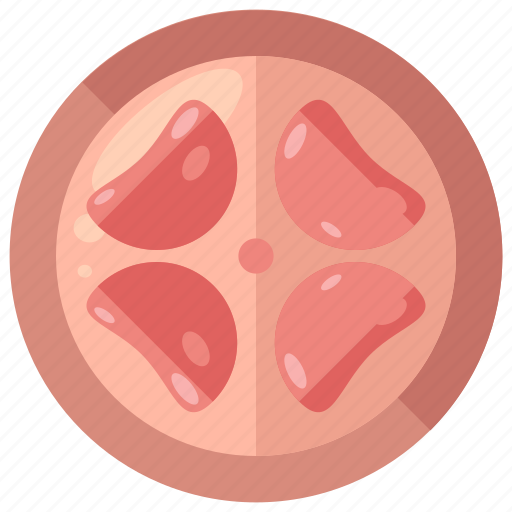 Female, organ, pregnancy, reproductive, uterus icon - Download on Iconfinder