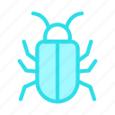 bug, insect, malware, threat, virus 
