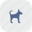 dog, gray, puppy, rounded, square, young 