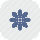 bud, flower, gray, plant, rose, rounded, square