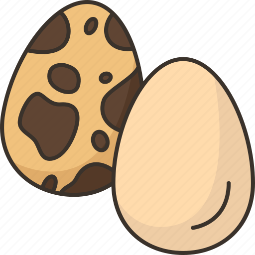 Egg, quail, food, edible, gourmet icon - Download on Iconfinder