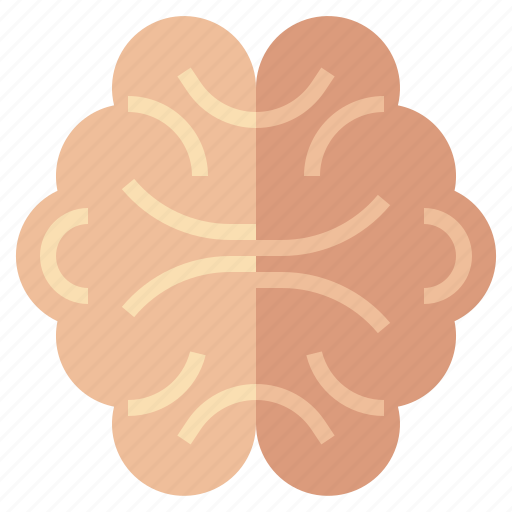 Brain, education, medicine, mental, motivation, psychological, psychology icon - Download on Iconfinder