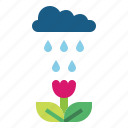cloud, flower, rain, rainy