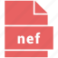 document, extension, file, nef, raster image file format, type 