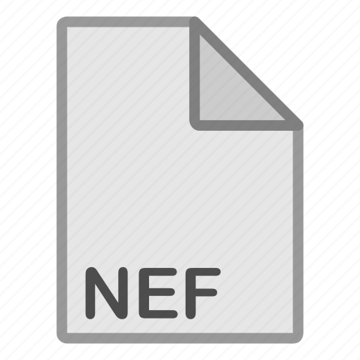 Extension, file, format, hovytech, nef, raster, type icon - Download on Iconfinder