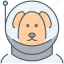 astronaut, dog, animal, cosmonaut, laika, mission, space 
