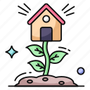 home plant, house plant, eco home, eco house, homestead