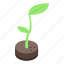 cartoon, eco, food, ground, isometric, plant, tree 