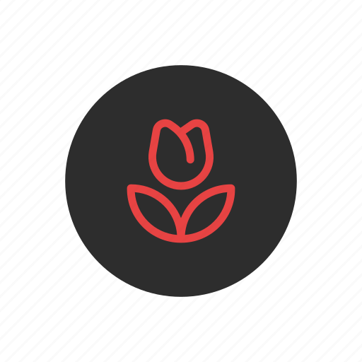 Beauty, flower, garden, gardening, spring, tulip icon - Download on Iconfinder