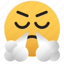 emoji, mad, unhappy, eye, closed
