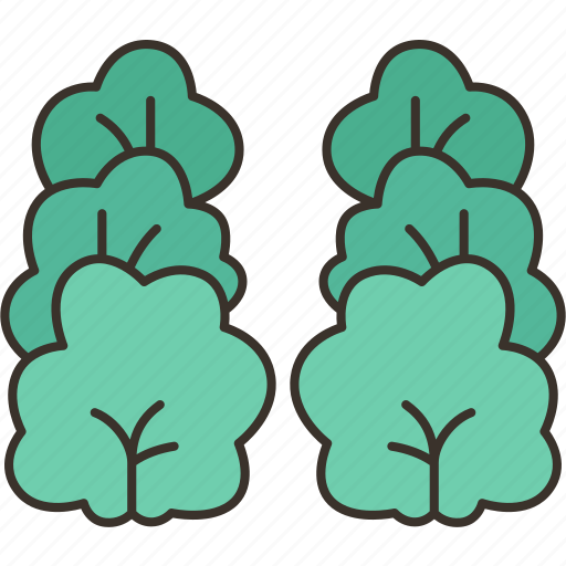 Trees, forest, plant, nature, ecology icon - Download on Iconfinder