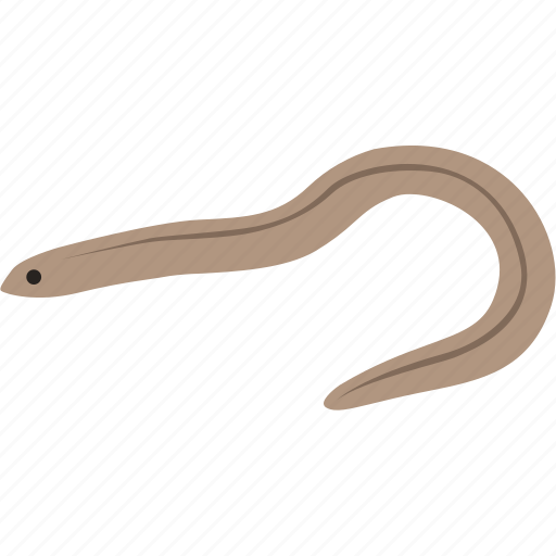 Angling, bait, beach, fishing, legless, legless lizard, lizard icon - Download on Iconfinder