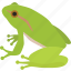 amphibian, bullfrog, frog, green, green frog, pond, prince 