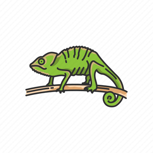 Animal, chameleon, chameleon lizard, lizard, pet, reptile icon - Download on Iconfinder