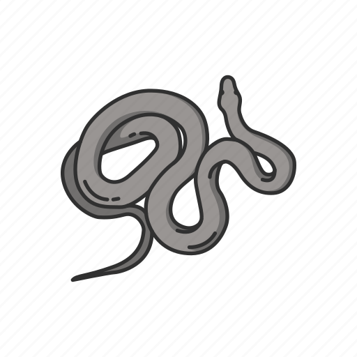Animal, carnivorous reptile, predator, reptile, serpent, snake icon - Download on Iconfinder