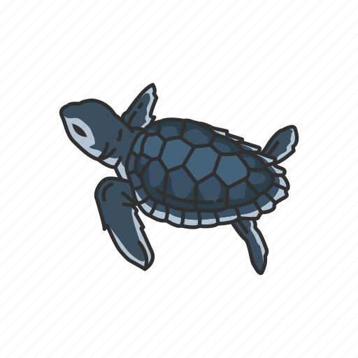 Animal, baby sea turtle, hatchling, marine turtle, reptiles, vertebrates icon - Download on Iconfinder