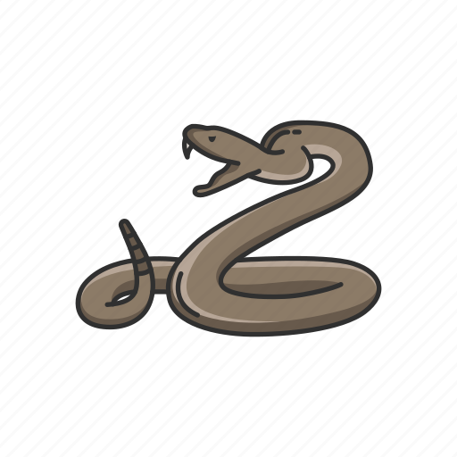 Animal, rattle snake, reptile, serpent, snake, venomous snake icon - Download on Iconfinder
