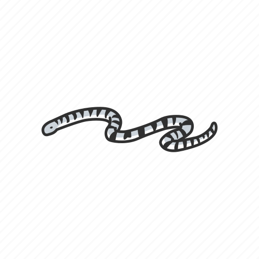 Animal, belcher's sea snake, faint banded snake, reptile, sea snake, serpent, snake icon - Download on Iconfinder
