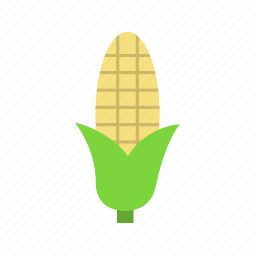Corn, cereal, food, farm, harvest icon - Download on Iconfinder