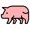 animal, farm, ham, pig, pork