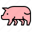 animal, farm, ham, pig, pork 