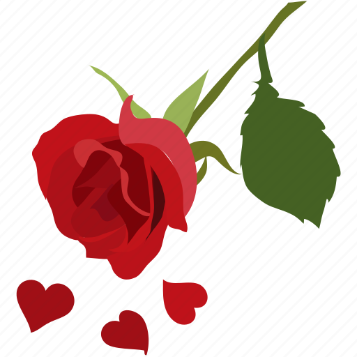 Beautiful, love, petals, romance, romantic, rose icon - Download on Iconfinder