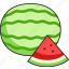 watermelon, fruit, food, melon 