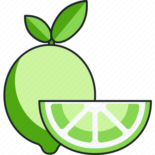 Lime, citrus, food, fruit, vegetable icon - Download on Iconfinder