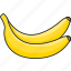 banana, tropical, bananas, fruit, food 