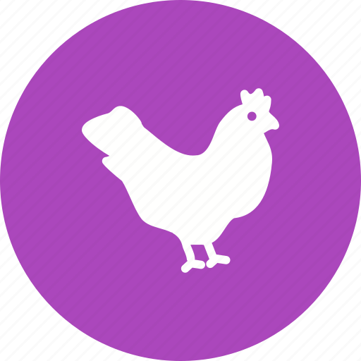 Chicken, farm, food, hen, meat, nature, poultry icon - Download on Iconfinder