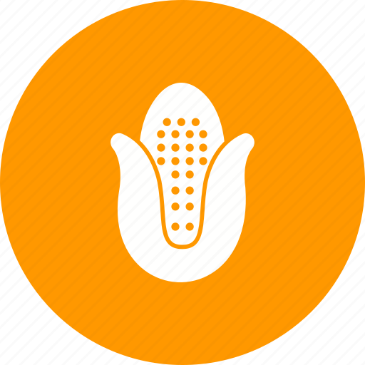 Corn, food, healthy, maize, nutrition, vegetable icon - Download on Iconfinder
