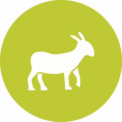 Animal, farm, farming, goat, goats, outdoor, young icon - Download on Iconfinder
