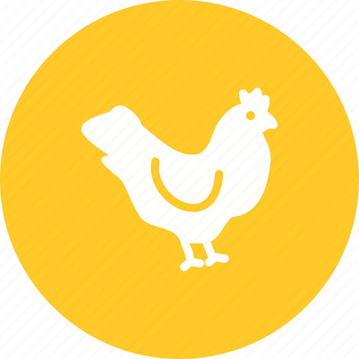 Agriculture, chicken, farm, hen, livestock, poultry icon - Download on Iconfinder
