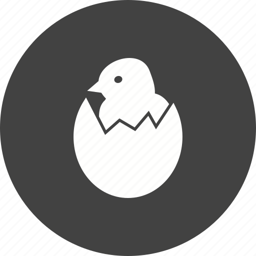 Bird, chicken, egg, eggs, hatch, hatched, shell icon - Download on Iconfinder