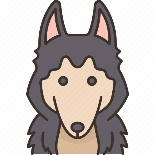 Dog, siberian, husky, pet, animal icon - Download on Iconfinder