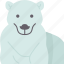 bear, polar, arctic, wildlife, animal 