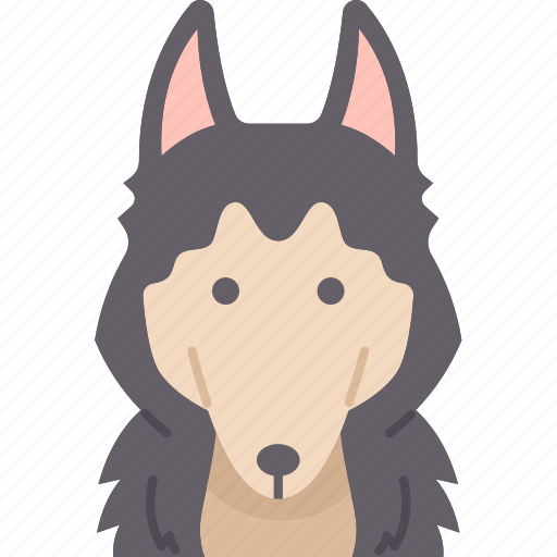 Dog, siberian, husky, pet, animal icon - Download on Iconfinder