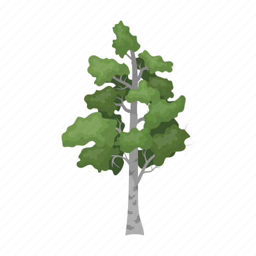 Birch, forest, plant, tree icon - Download on Iconfinder