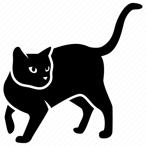 .svg, cat, curious, searching, hunting, kitty icon - Download on Iconfinder