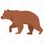 wild, russian bear, bear, animal, teddy 