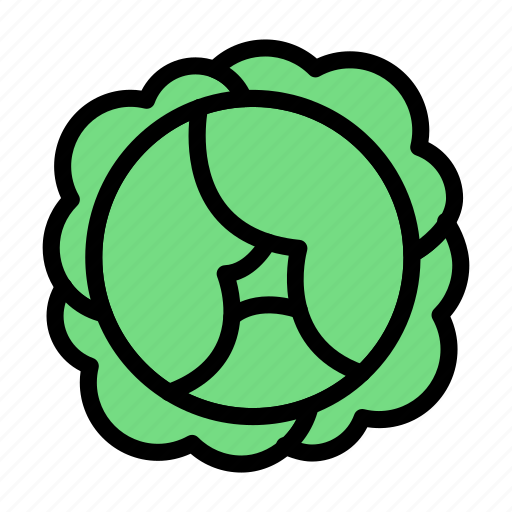 Cabbage, vegetable, food, healthy, salad icon - Download on Iconfinder