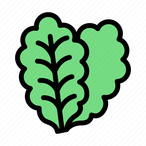 Kale, green, salad, diet, food icon - Download on Iconfinder