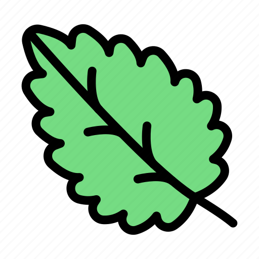 Kale, salad, green, leaf, vegetable icon - Download on Iconfinder