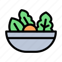 kale, vegetable, salad, food, bowl
