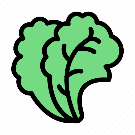 Salad, leaf, food, healthy, arugula icon - Download on Iconfinder
