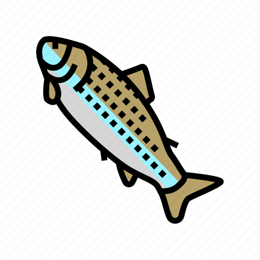Adult, salmon, fish, delicious, seafood, sashimi icon - Download on Iconfinder
