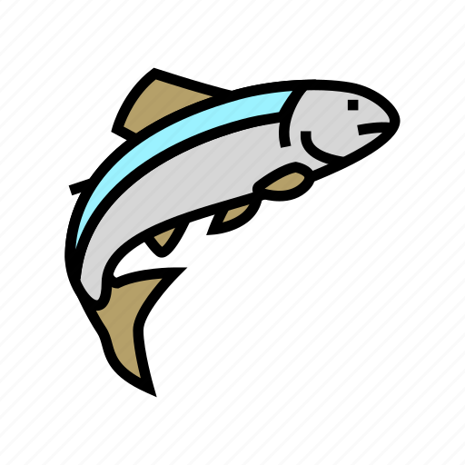 Salmon, fish, delicious, seafood, sashimi, fillet icon - Download on Iconfinder