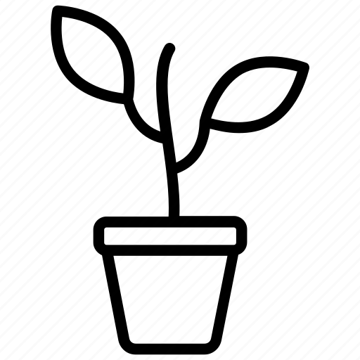 Angiospermae, flowering plant, magnoliophyta, plant, potted plant icon - Download on Iconfinder